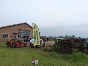 Ivar 2013